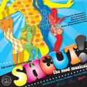 SHOUT: THE MOD MUSICAL! Opens on April 29th at The Barn Players! Video