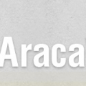 AracaWorks Hosts New Reading Series, 5/10-13