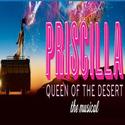 PRISCILLA QUEEN OF THE DESERT THE MUSICAL to Perform on 'America's Got Talent,' 7/13 Video