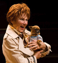 Photo Coverage: DiPietro's THE LAST ROMANCE Previews at The Old Globe Image