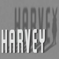 STAGE TUBE: All About HARVEY Video