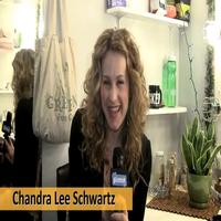 STAGE TUBE: Chandra Lee Schwartz Announces WICKED's Givenik Charity Night! Video