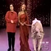 STAGE TUBE: Happy Birthday, Rosie O'Donnell!