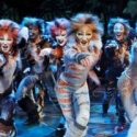 CATS: AMERICA'S FAVORITE FAMILY MUSICAL Arrives at the Van Wezel Performing Arts Hall Video