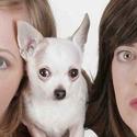 Somebody’s In The Doghouse Comes To UCB Theater 8/18 Video