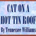 Surfside Players Present CAT ON A HOT TIN ROOF 9/9-25 Video