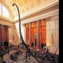 American Museum of Natural History Announces Adult Programs For Sept Video