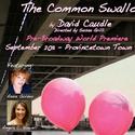 Provincetown Counter Productions To Present The Common Swallow Video