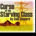 Actors and Directors Living in Brooklyn Present CURSE of the STARVING CLASS Video