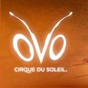Cirque du Soleil Returns to the Santa Monica Pier With OVO 1/20/2012 Video