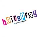 Warner Stage Company Announces Additional Auditions for HAIRSPRAY Video