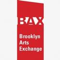 BAX/Brooklyn Arts Exchange Announces 2011/12 Season Video