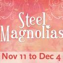 CCCT Presents Steel Magnolias Video