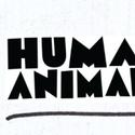 Human Animals Presents the World Premiere of POST OFFICE Video