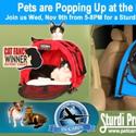 NYC Hosts First Ever Pet POP-UP Adoption Shop Video