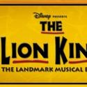 THE LION KING Celebrates 14 Years On Broadway