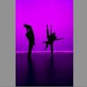 Zenon Dance Co Presents TWO World Pemieres at The Cowles Center Video