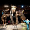 2012 Circus Spectacular Brings New Line-up the Orleans Arena Video