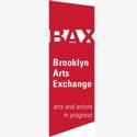 BAX/Brooklyn Arts Exchange Hosts potential, fantasy and connection Series Video