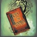 Provincetown Counter Productions to Present INTO THE WOODS Video