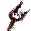 Dzul Dance Presents MAYA 2012: a new beginning Video