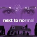 Next to Normal Opens at Actors' Playhouse at the Miracle Theatre Video