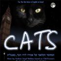 CATS Comes To Israel For The First Time 