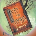 Catchment Players Present INTO THE WOODS JUNIOR, 8/12 - 14