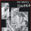 NOW PLAYING: Miners Alley Playhouse presents THE NIGHT OF THE IGUANA