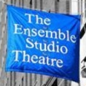 Ensemble Studio Theatre and the Alfred P. Sloan Foundation Announce 2012 New Play Com Video