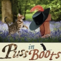 BWW Reviews: ITC's Funny Take on PUSS IN BOOTS Video