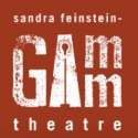 FESTEN Makes New England Premiere at The Gamm, 1/12 Video