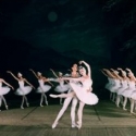 The Moscow Festival Ballet Dances Classic Swan Lake at the Van Wezel, 2/28 Video