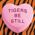 Tickets on Sale Now for TIGERS BE STILL at ATT Performing Arts Center, March-May