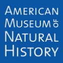 AMNH Presents FROM THE DISTANT PAST Exhibition, 11/14-27