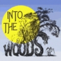 Provincetown Counter Productions to Present INTO THE WOODS, 11/23-12/4 Video