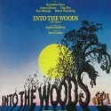 Central Park INTO THE WOODS Already Considering Broadway? Video