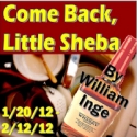 Actor's NET of Bucks County Presents COME BACK, LITTLE SHEBA, 1/20 Video