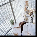 U.S. Pavilion at 55th International Art Exhibition, La Biennale di Venezia, To Featur Video
