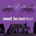 NEXT TO NORMAL Pulitzer Winning Musical Opens At Actors' Playhouse Video