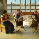 Amphibian Concert Series Presents Momenta Quartet at HiArt Gallery, 1/28 Video
