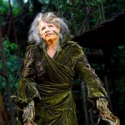 EXCLUSIVE: Regent's Park Theatre's INTO THE WOODS to Play Central Park's Delacorte Th Video