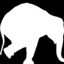 Elephant Theatre Company To Take 2012 Off Video