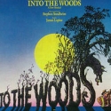 Rob Marshall to Direct INTO THE WOODS Film for Disney! Video
