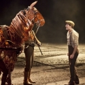 BWW TV: First Look at WAR HORSE in Toronto! Video