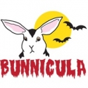 Playhouse on Park Holds Open Auditions for BUNNICULA