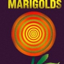 'The Effect Of Gamma Rays On Man-in-the-Moon Marigolds' At Palm Beach Dramaworks Video