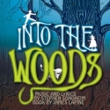 CENTERSTAGE and Westport Country Playhouse Announce INTO THE WOODS Cast Video