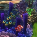 STAGE TUBE: First Look - Disney/Pixar's FINDING NEMO Coming in 3-D Video