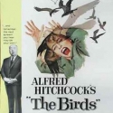 Alfred Hitchcock’s Classic The Birds to Be Shown at Hershey Theatre, 10/29 Video